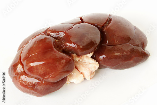 Raw beef kidney