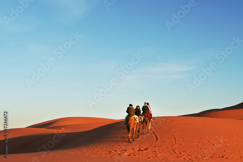 Safari in Sahara