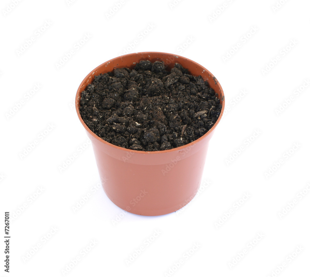 pot pot