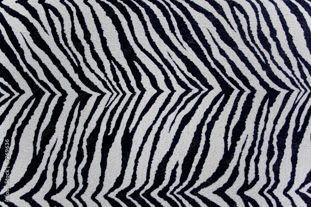 zebras texture can be used as background zebras texture can be used as background