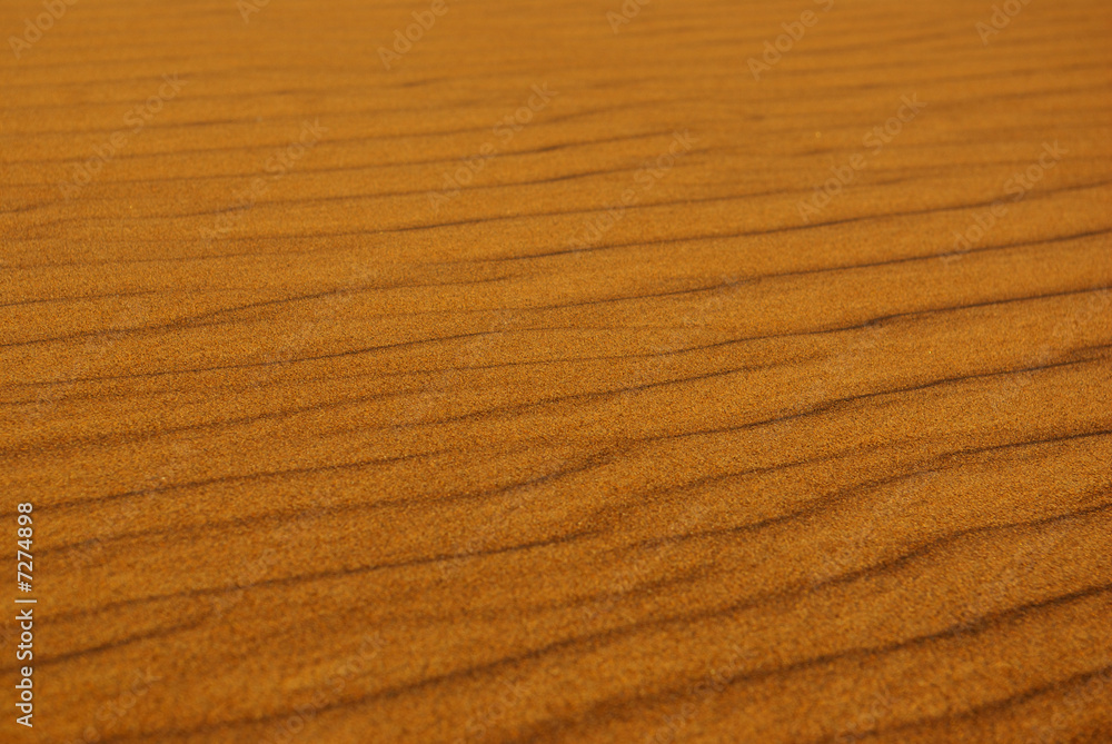 dune sand dune sand