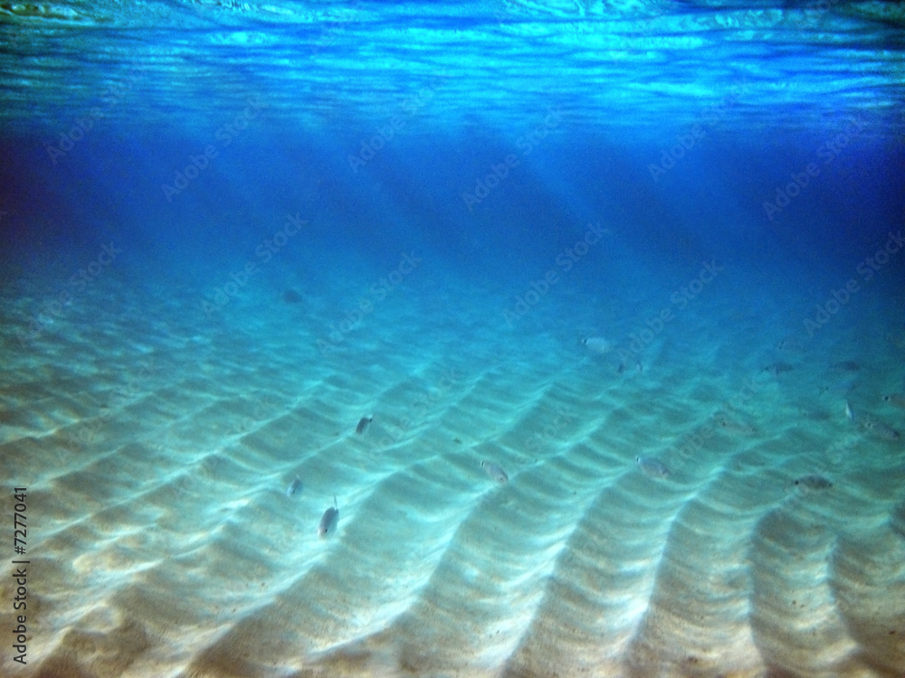 Fototapeta premium ocean beams underwater