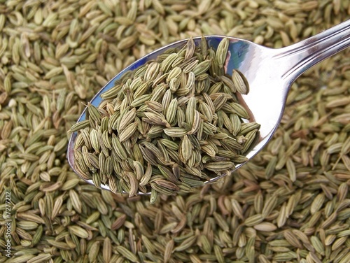 Dried Fennel on a spoon.
