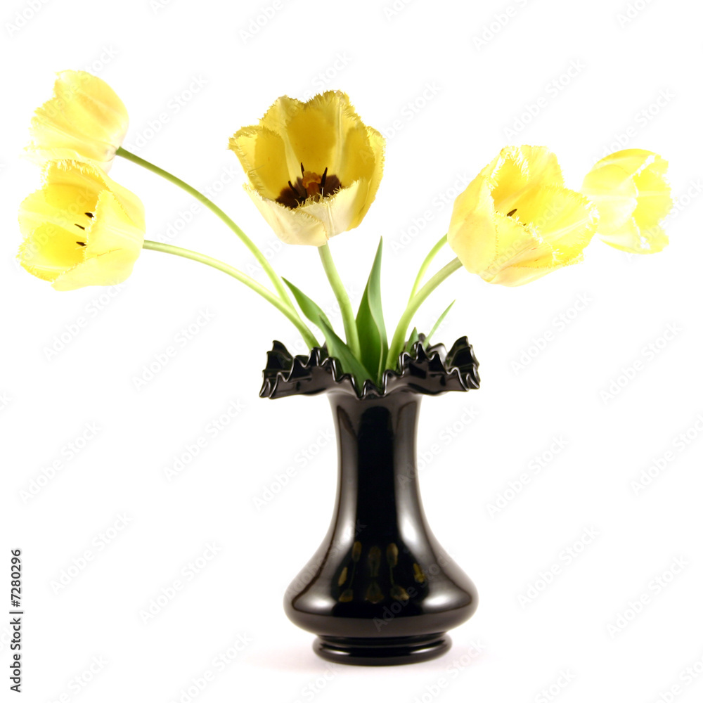 Bouquet of yellow tulips on a white background
