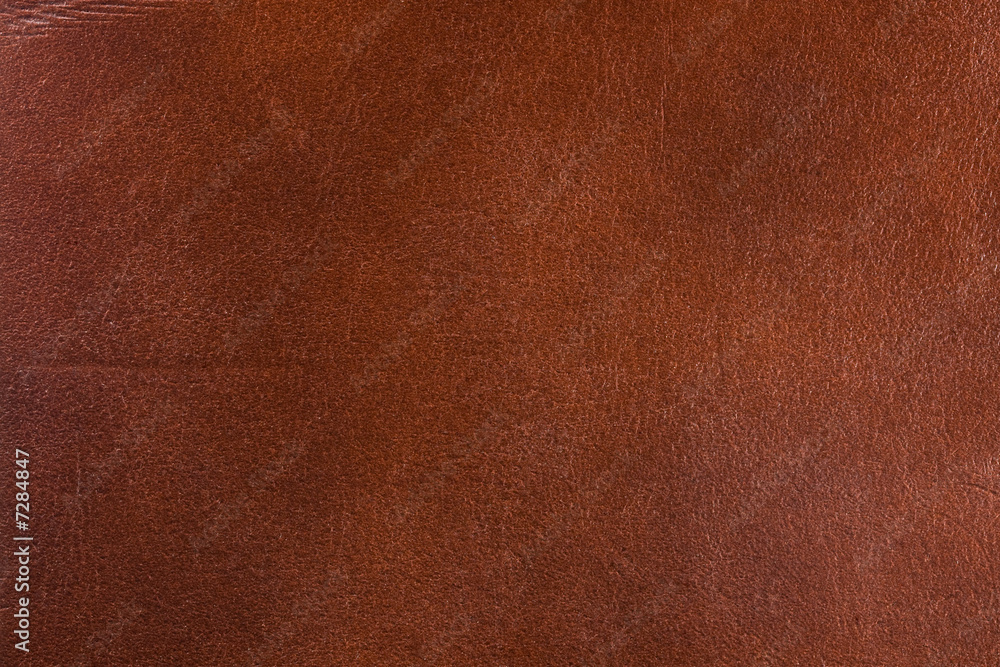 Fototapeta premium Leather texture
