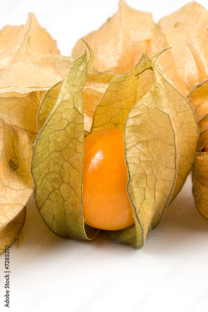Fresh physalis Fresh physalis