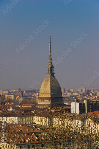 Mole antonelliana photo