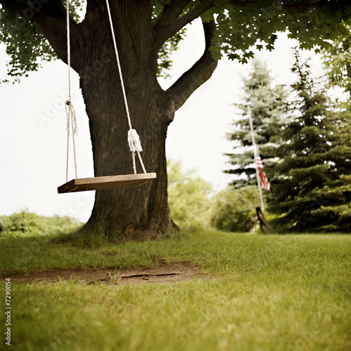 Tree swing