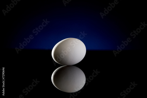 Egg on Black