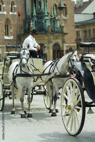 Double horse cab