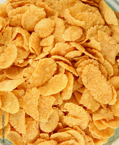 cereal corn flakes