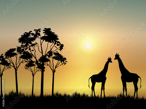 Giraffes at Sunrise