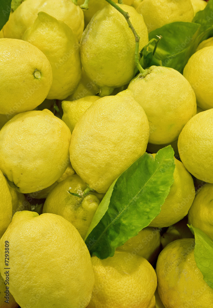 Limoni- Lemon