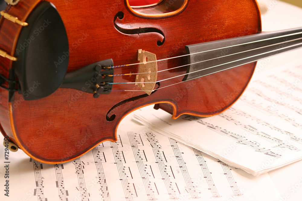Fototapeta premium violin
