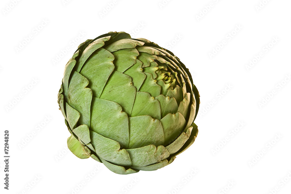 Obraz premium Artichoke
