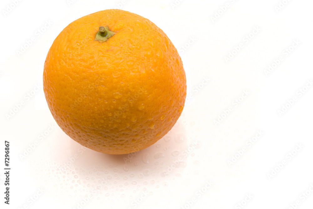 wet orange wet orange