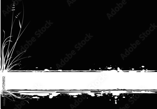 floral design noir et blanc