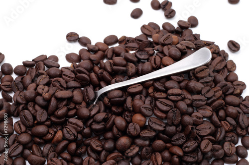 Cofee seed