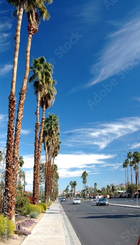 palm springs