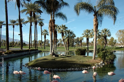 palm springs