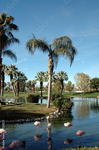 palm springs