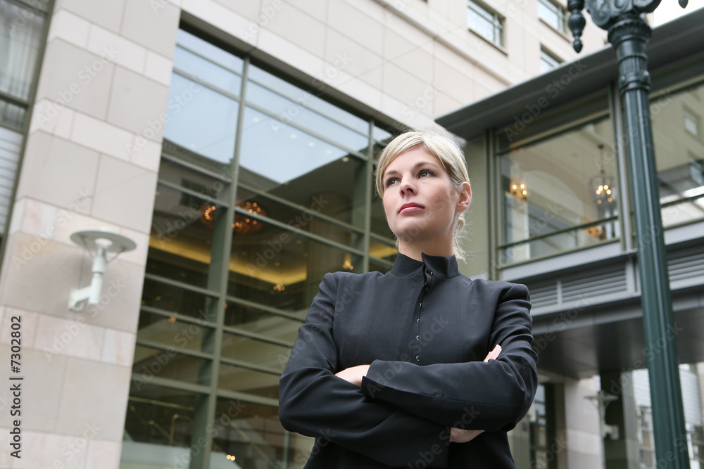 Business Woman Business Woman