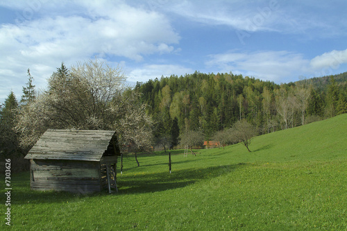 Romantic meadow