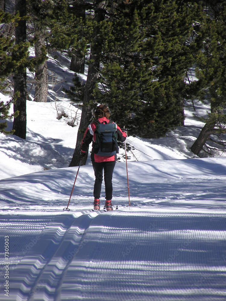 1559 - Ski de fond sur la route du col d'Izoard