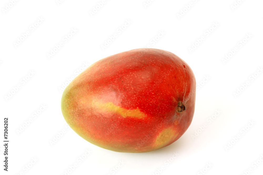 Mango Mango
