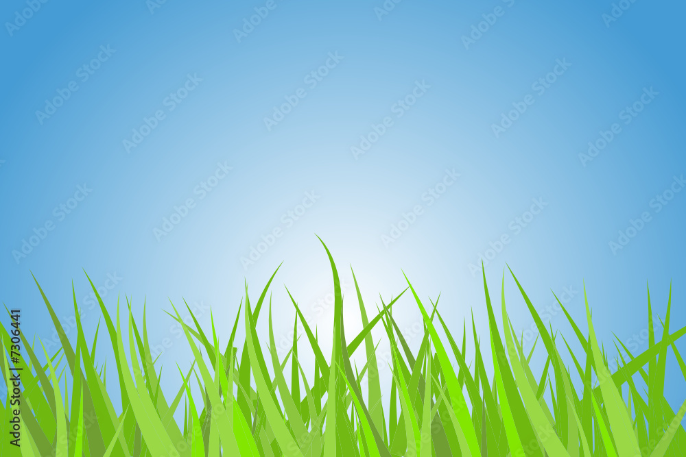 Obraz premium Green grass
