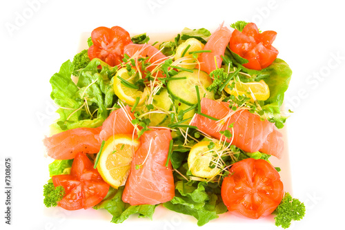 Isolated Square Plate filled with Smoked Salmon Salad