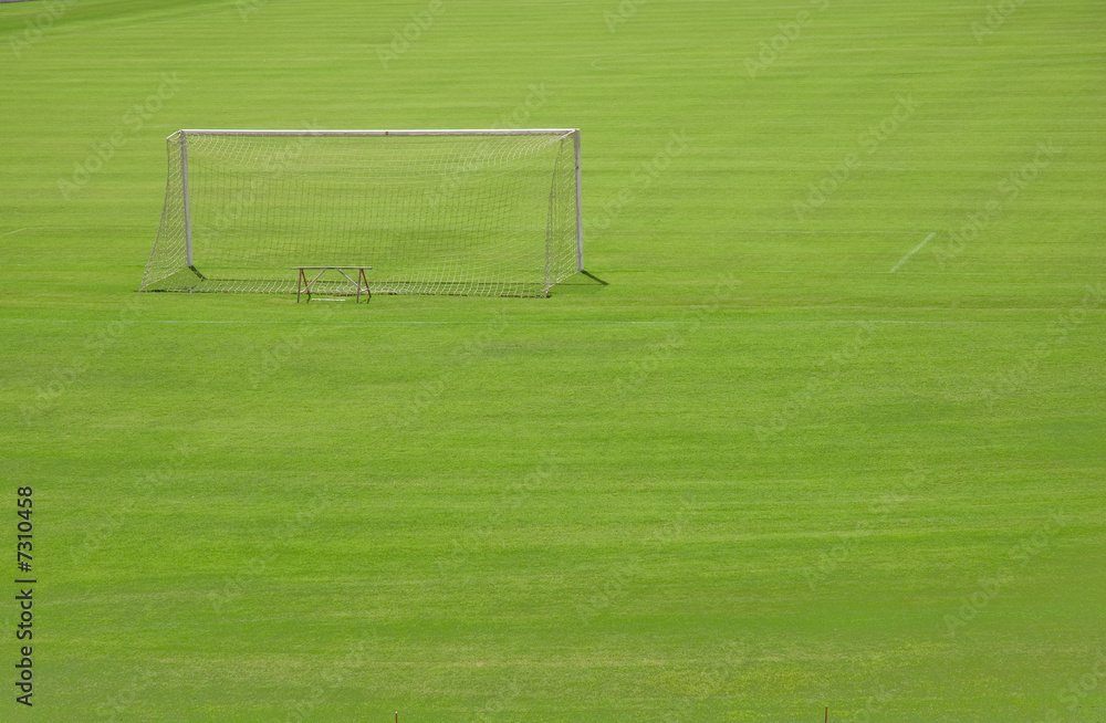 Obraz premium football field