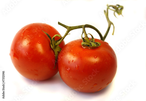 Wallpaper Mural Tomaten Torontodigital.ca