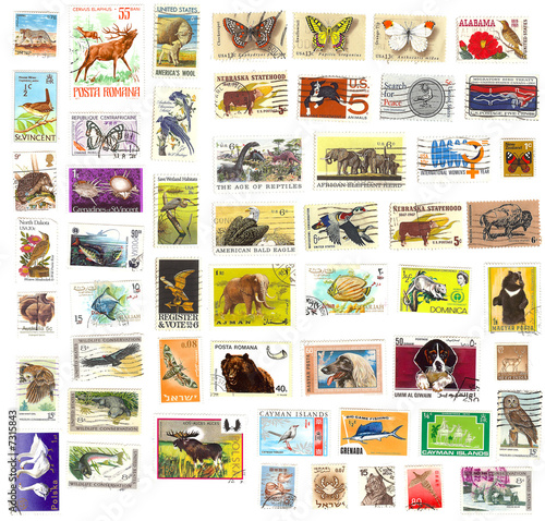collection of vintage animal stamps