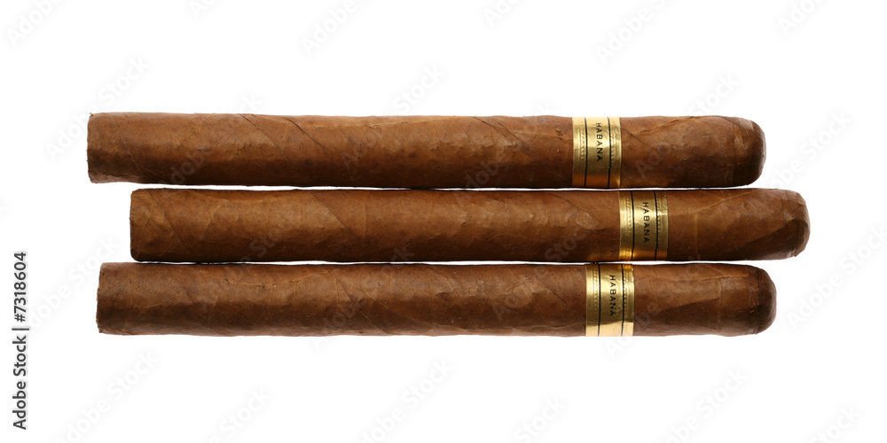 Havana Cigars Set Isolated on White Havana Cigars Set Isolated on White
