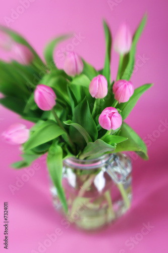 Soft Tulips