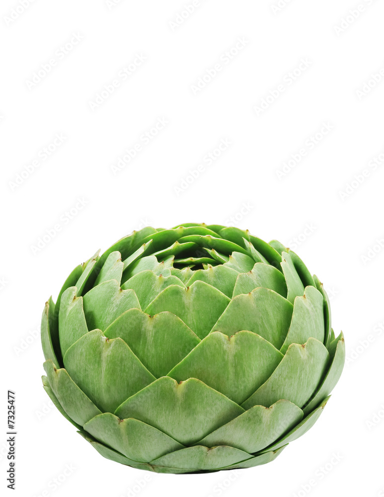 Obraz premium Globe Artichoke