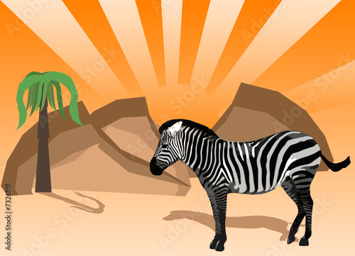 Zebra against  african landscape
