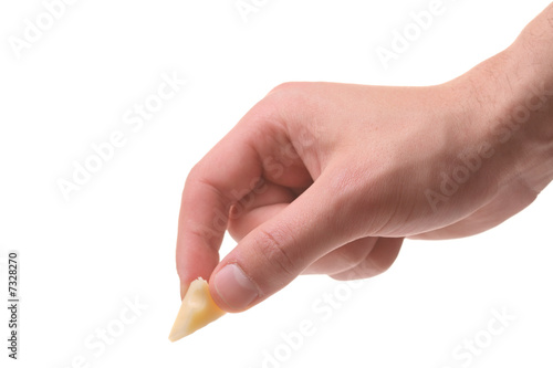 Hand holding a piece of cheese isolated on white