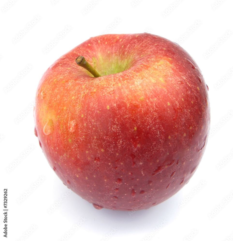 Apple red and yellow perfect with water drops Apple red and yellow perfect with water drops