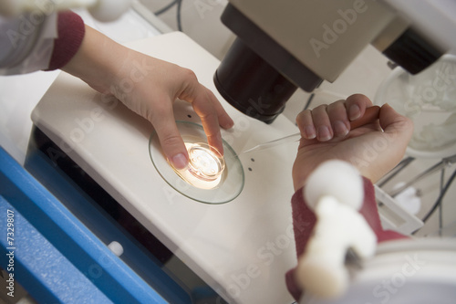 Foto Embryologist adding sperm to egg