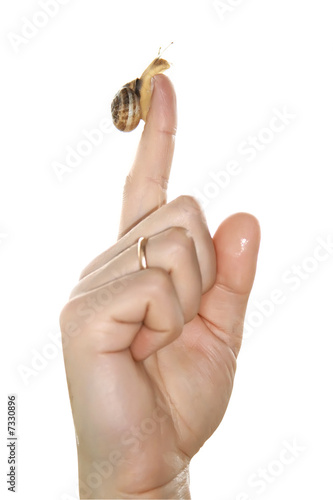 snail on a finger