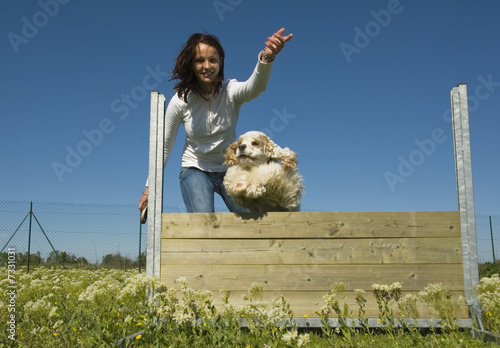  entrainer son chien photo