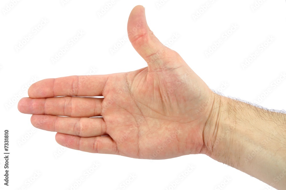 Hand close-up isolated over white background Hand close-up isolated over white background