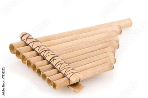 bamboo panpipes photo