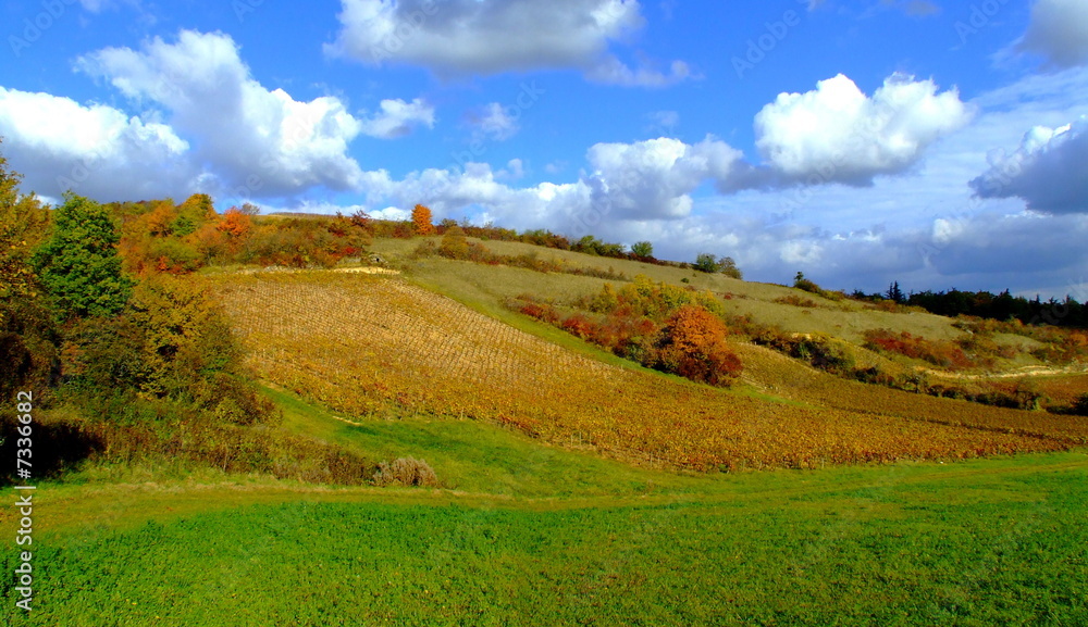 paysage Bourguignon