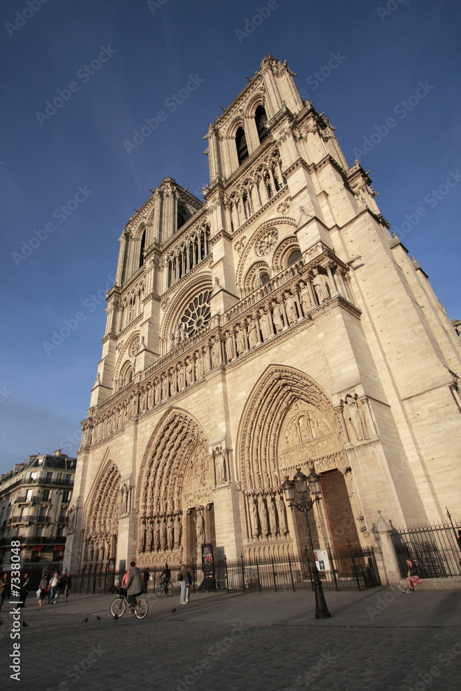 Cathédrale Notre Dame - Paris