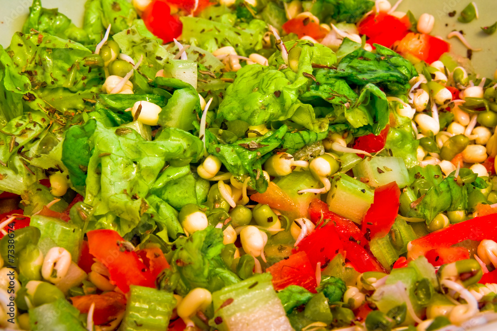 a close-up of fresh green sald with mungo a close-up of fresh green sald with mungo
