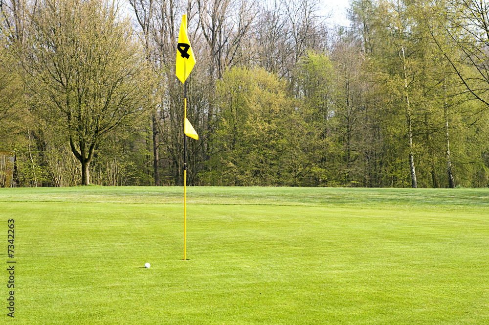 Obraz premium Golfen