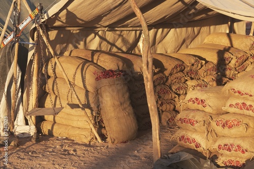 Chili Market Selling Sacks of Red Chilies photo